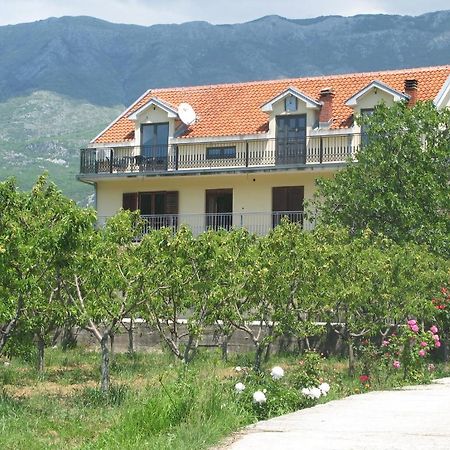 Apartments Ivetic Kotor Bagian luar foto